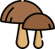funghi icon