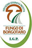 fungo-borgotaro-logo
