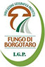 fungo-borgotaro-logo