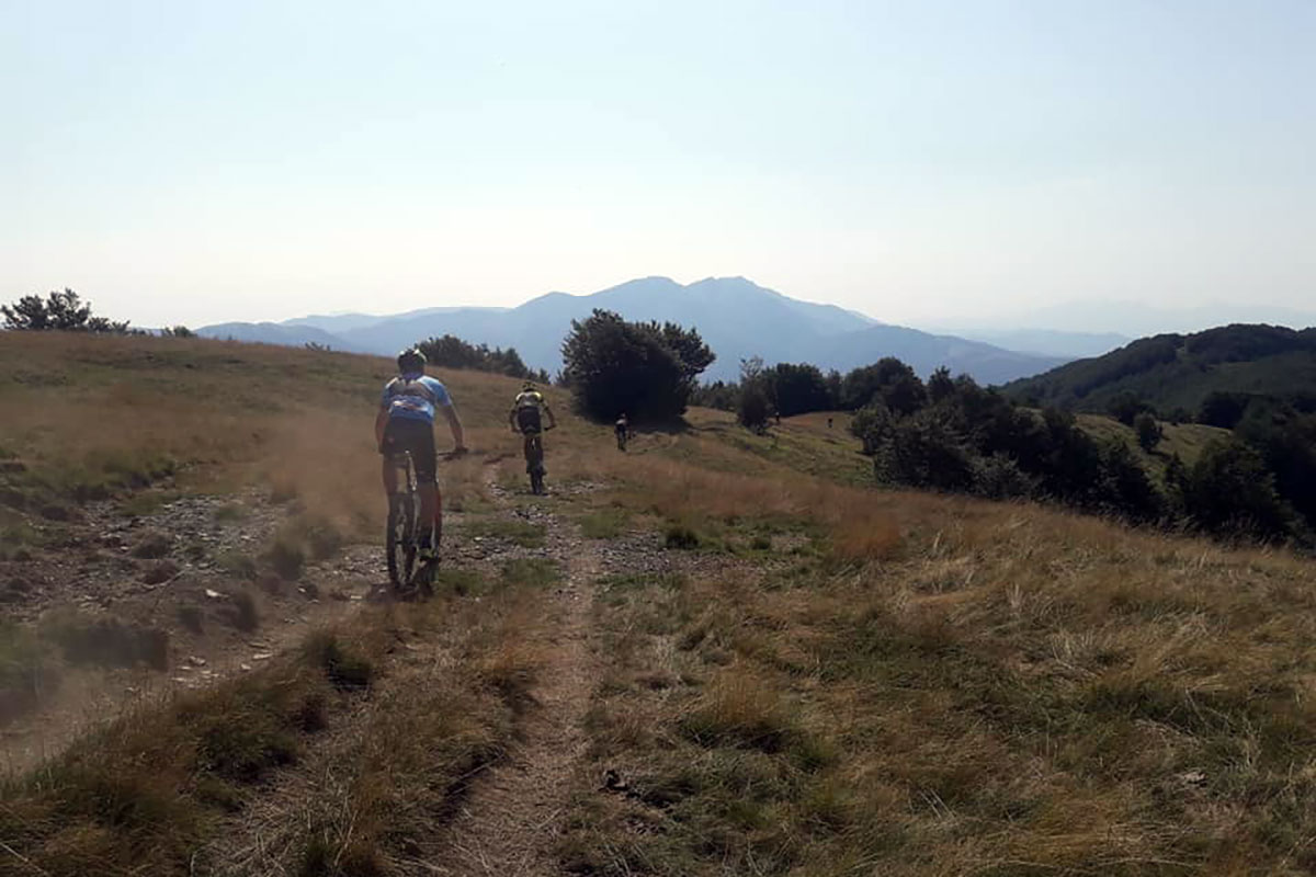 mountain-bike-news