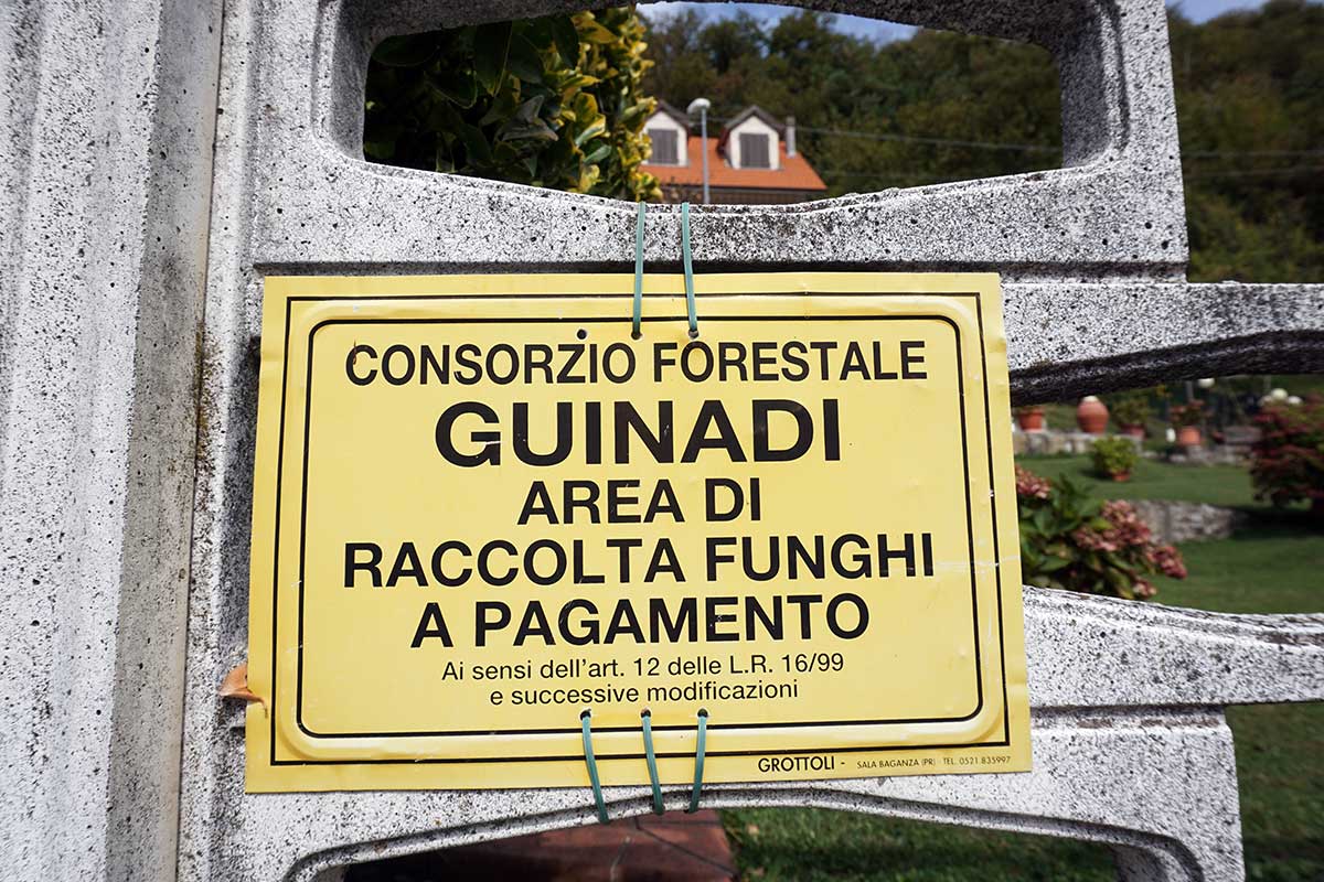 nuove-regole-raccolta
